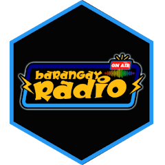 Barangay Radio 101.1 - Dipolog icon
