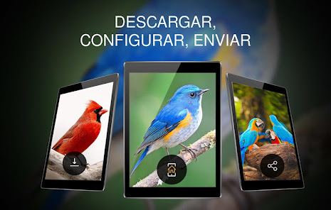 Screenshot 7 Fondos 4K con pájaros android