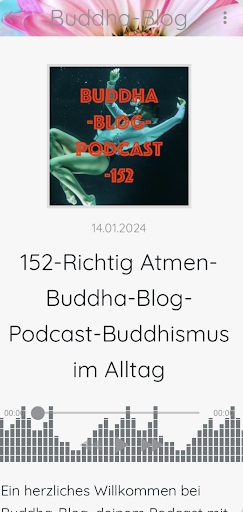 Buddha-Blog Screen 3