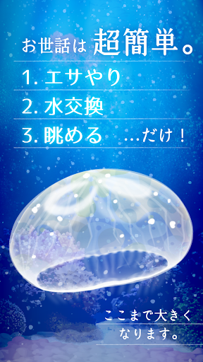 癒しのクラゲ育成ゲーム 無料放置育成ゲーム Google Play のアプリ