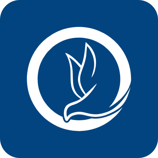 Ministério IBRES logo