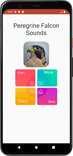 Peregrine Falcon Sounds Screen 2