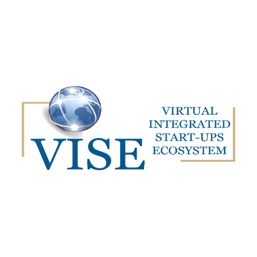 VISE logo