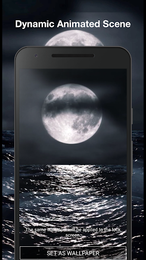 Night Live Wallpaper Screen 2