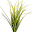 Montana Grasses Download on Windows