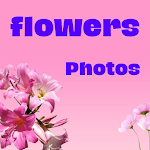 Cover Image of Download Flower Photos 4 APK