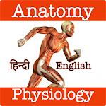 Cover Image of Herunterladen Anatomy & Physiology In Hindi & English 1.12 APK