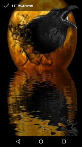 Android application Crow Wallpapers screenshort