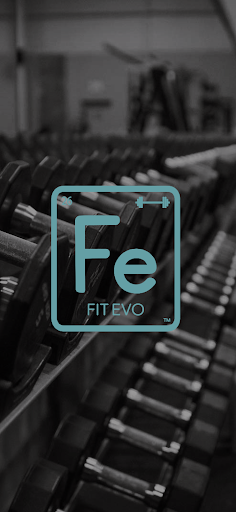 Screenshot of Fit Evo Online
