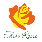 Cover Image of Tải xuống Eden Roses 0.0.5 APK