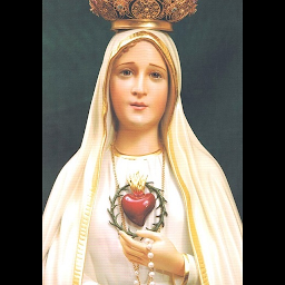 Icon image Novena a la Virgen de Fatima