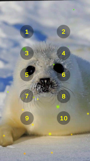 Seal And Sea Lion Sounds Screen 3