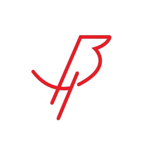 Blackbird Smart Wristband logo