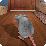 Mouse in Home Simulator 3D icon