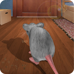 Symbolbild für Maus in Home Simulator 3D