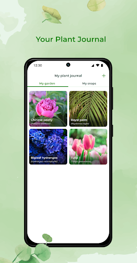 PlantSnap: plant identifier Screen 3