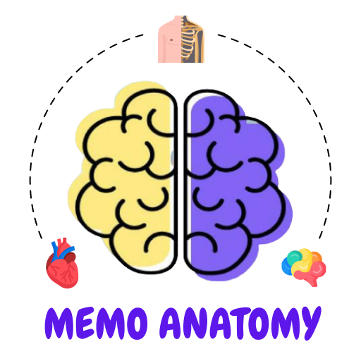 MemoAnatomy-NEETPG & Univ Prep logo