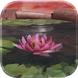 Lotus 3D Live Wallpaper icon