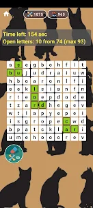 Word guesser. Word game