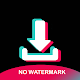 Video Downloader for TikTok - No Watermark Baixe no Windows