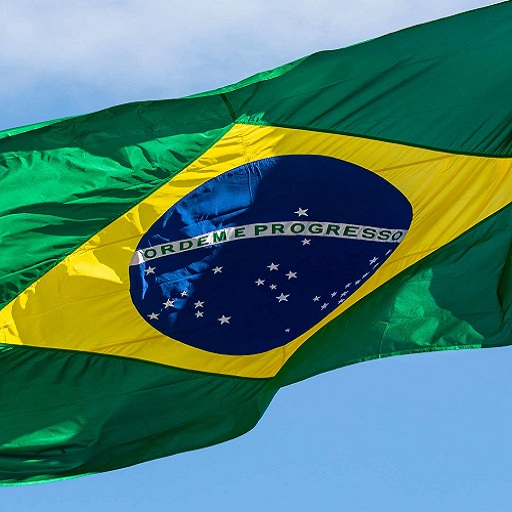 Brazil flag logo