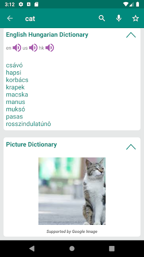 Hungarian English Dictionary Screen 2
