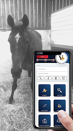 App Equine