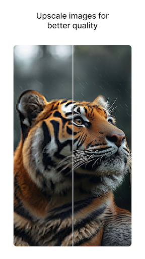Pixelbin: AI Photo Editor screenshot 10