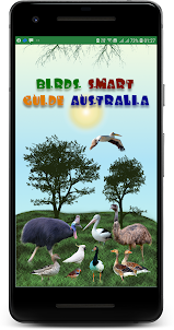 Australia Birds ID