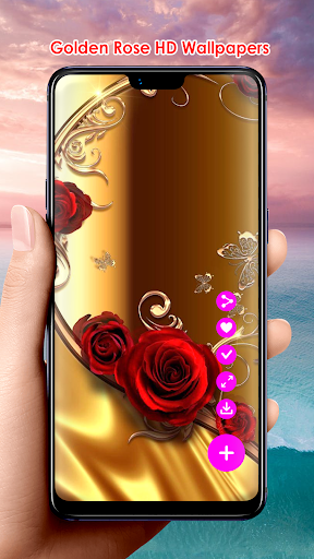Download Golden Rose HD Wallpapers Free for Android - Golden Rose HD  Wallpapers APK Download 
