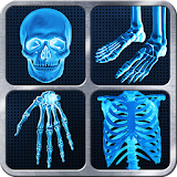 X-Ray Full Body Prank icon
