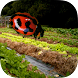 Insects & Organic Gardening