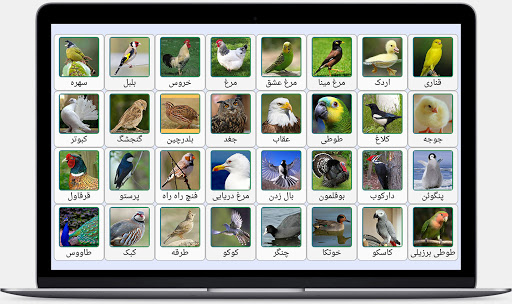 Android application صدای پرندگان و حیوانات screenshort