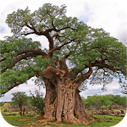 Top 29 Books & Reference Apps Like eTrees of Southern Africa - Best Alternatives