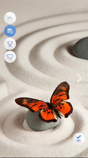 Android application Wallpapers 4K with Insects screenshort