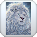 Cover Image of Download White Lions Pictures  APK