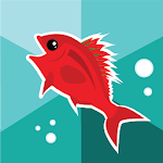 Cover Image of ดาวน์โหลด Fish Royale - ราชาฉลามแสนอร่อย 2.6.7 APK