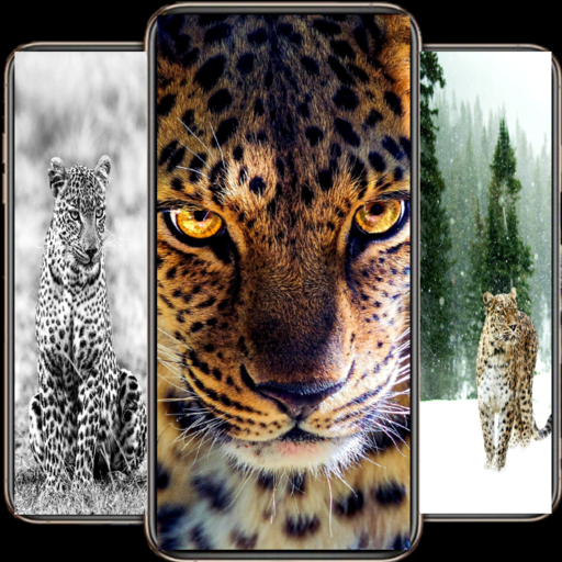 Leopard Wallpapers HD logo