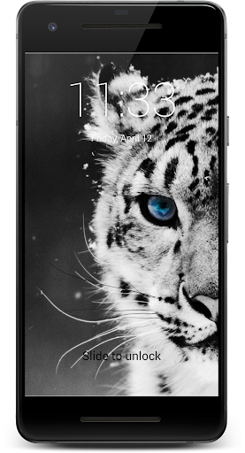Great White Tiger HD Lock Scre