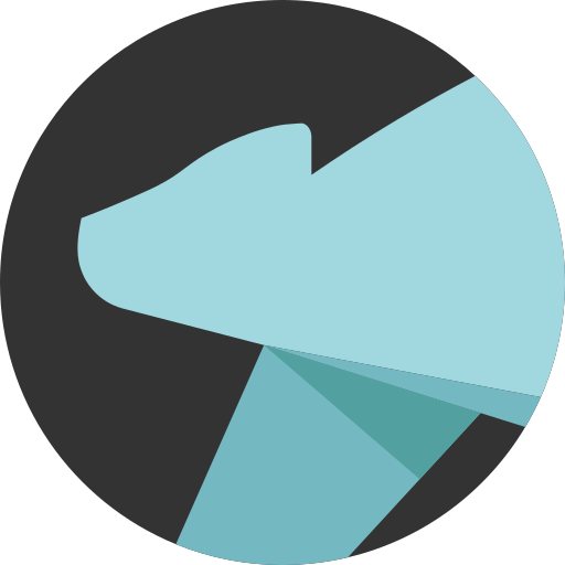 Polar App logo