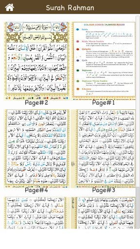 Surah Rahman سورة الرحمن Col