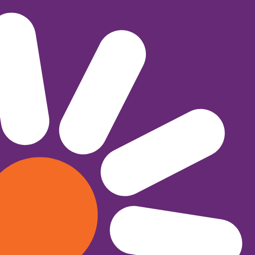 Discount Drug Stores logo