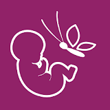 I’m Expecting - Pregnancy App icon