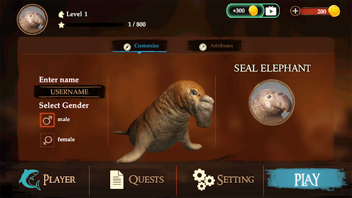 The Seal Elephant Screen 3