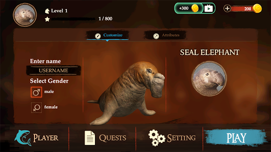 The Seal Elephant 3
