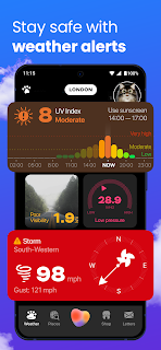 OpenPet - Weather & Cute Cat