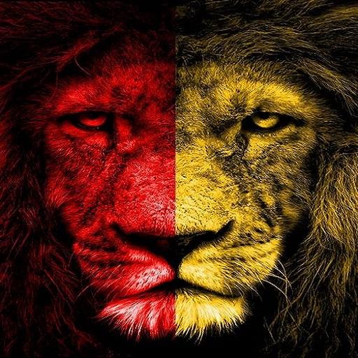 SARI KIRMIZI MARŞLAR-49 MARŞ-İNTERNETSİZ