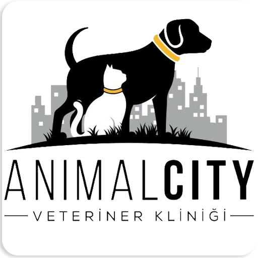 Animal City Veteriner Kliniği logo