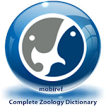 Zoology Dictionary Free Apk
