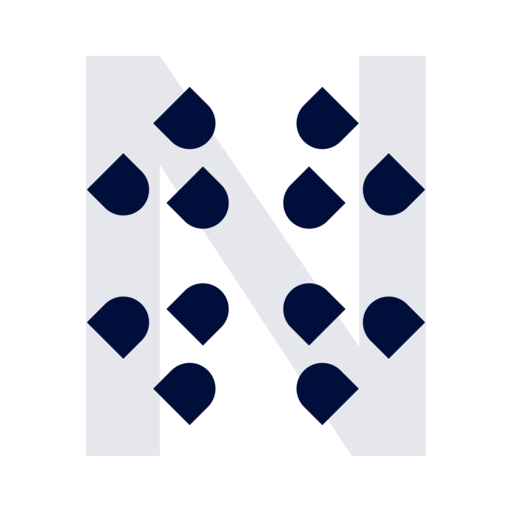 Nexxus One Public logo